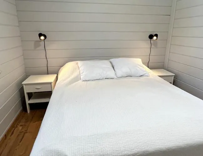 Himos Alahonka B 度假居